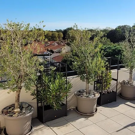 Apartmán T3 Avec Grande Terrasse Et Vue Sur Les Alberes - Fr-1-732-85