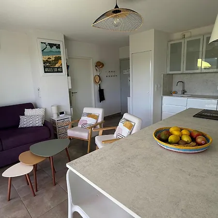 T3 Moderne Avec Grande Terrasse, Climatisation Et Parking à 10 Min De La - Fr-1-732-85 * Argelès-sur-Mer